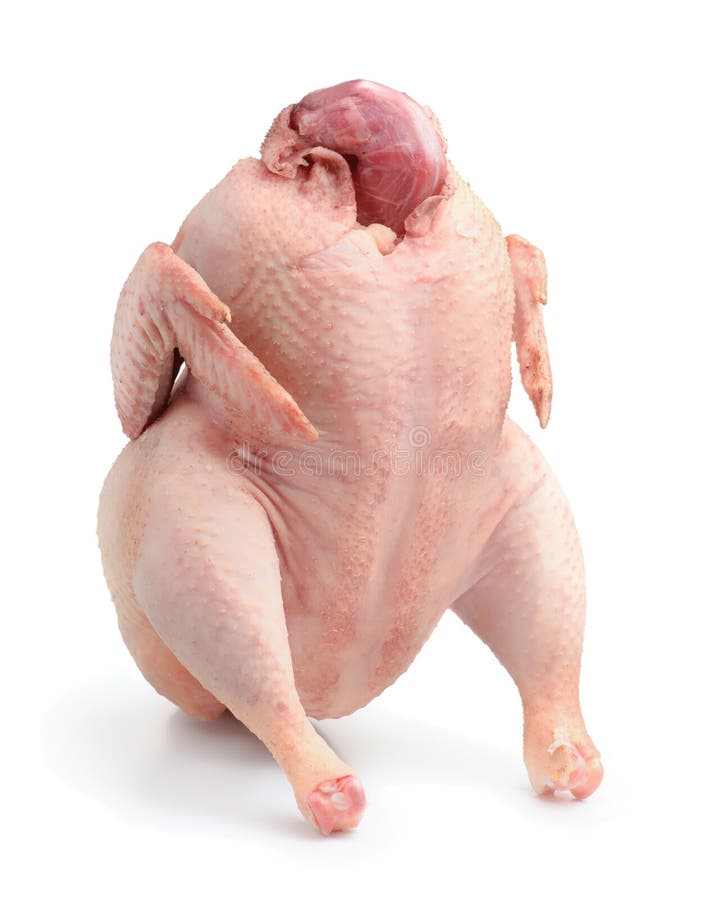 3,143 Fresh Raw Whole Turkey Stock Photos - Free & Royalty-Free Stock  Photos from Dreamstime